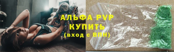 ПСИЛОЦИБИНОВЫЕ ГРИБЫ Михайлов
