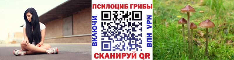 Псилоцибиновые грибы Psilocybine cubensis  как найти закладки  Анадырь 